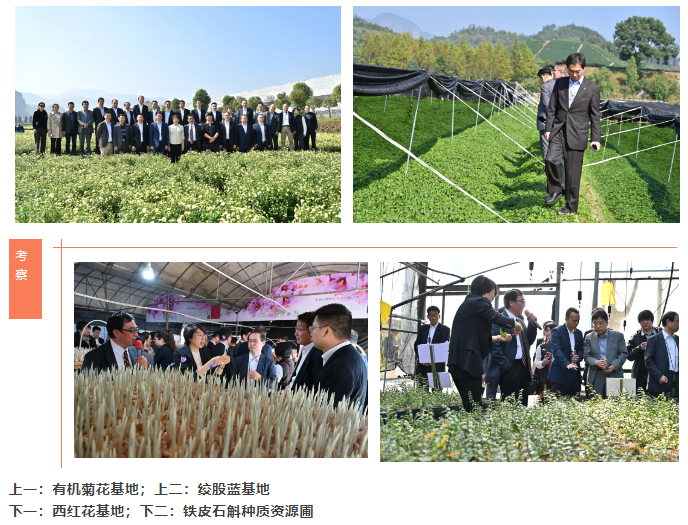 浙江AG庄闲医药股份有限公司